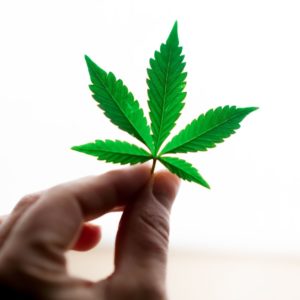 como hacer marketing para cannabis