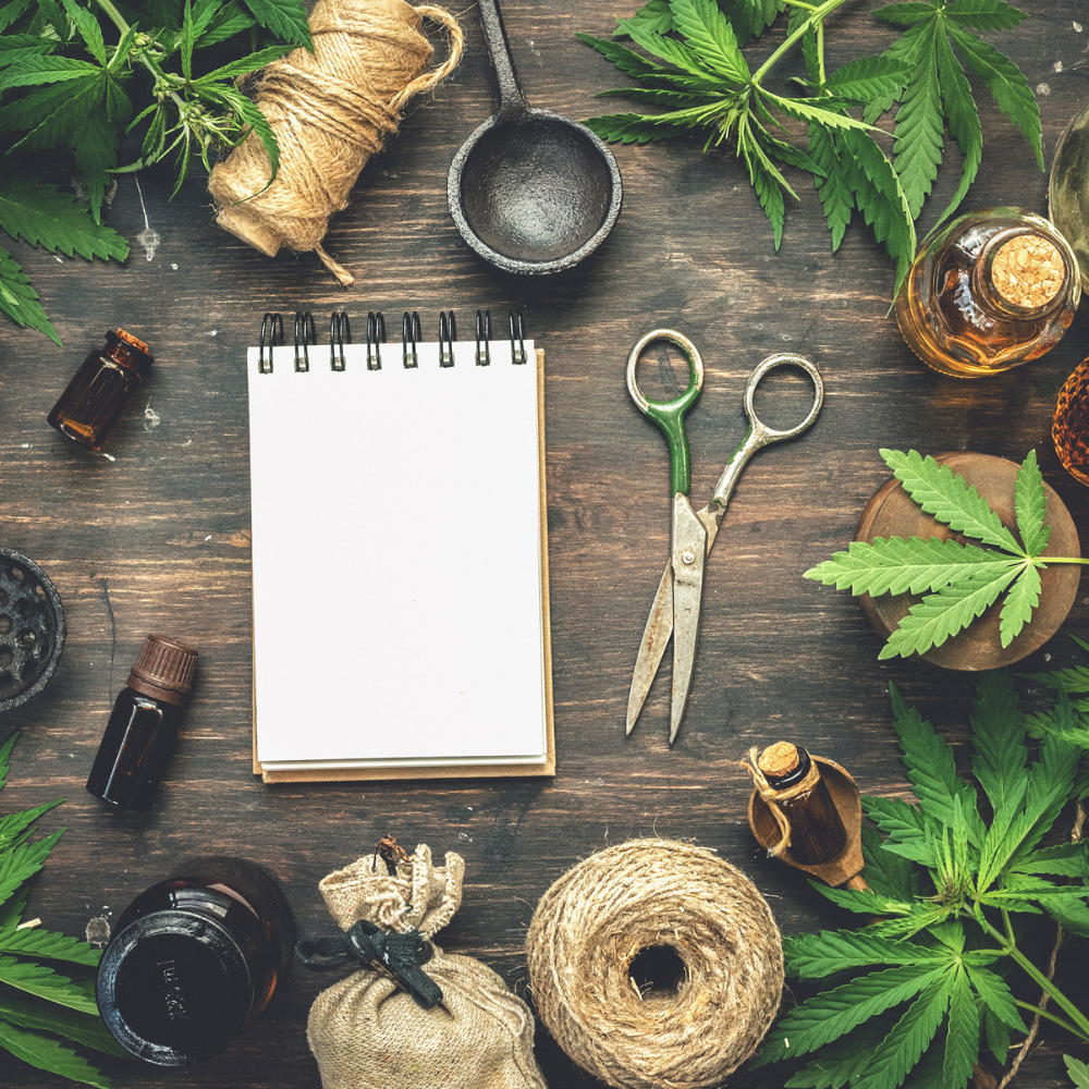 plataformas de marketing cannábico