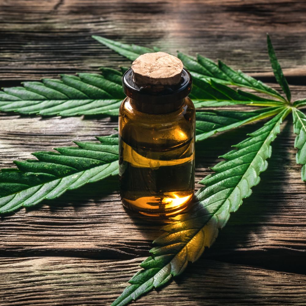 weed feed la plataforma de contenido del mundo cannabico